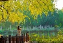 澳门威尼斯人网站注册-澳门威尼斯人，探索娱乐与休闲的完美结合