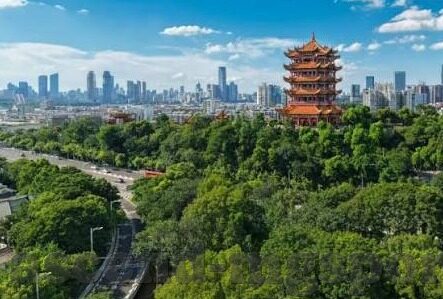 胜负足球彩票比分-胜负之间，足球彩票比分背后的博弈与智慧