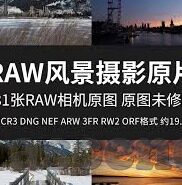 足球现场比分直-足球现场比分直击，绿茵场上的心跳同步